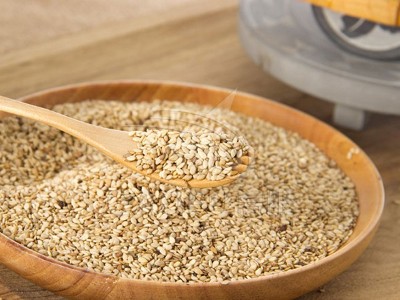 芝麻香蕉视频黄色视频方案